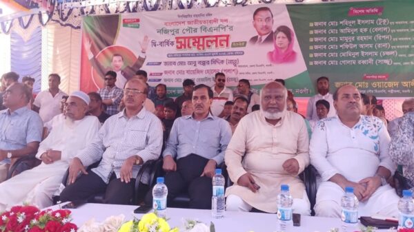 নজিপুরে পৌর বিএনপির কাউন্সিল ॥ মামুন-শাহিন প্যানেলের জয়