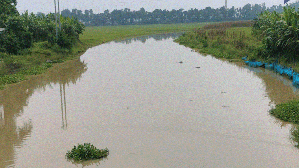 রাজশাহীর বারনই-ফকিরন্নী নদীর পানি ছুটছে উজানে