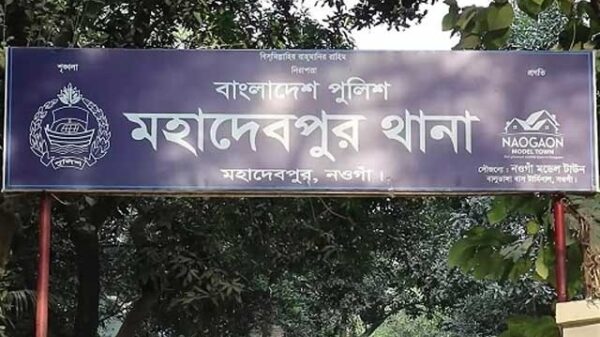 নওগাঁয় ট্রাক চাপায় ভ্যান চালক নিহত