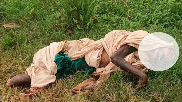 নাচোলে ট্রেনে কাটা পড়ে অজ্ঞাত বৃদ্ধার মৃত্যু