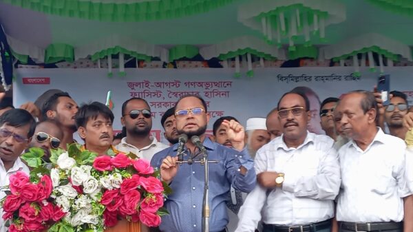 ভালুকায় জুলাই গণ অভ্যুত্থান দিবসে বিএনপির আনন্দ মিছিল