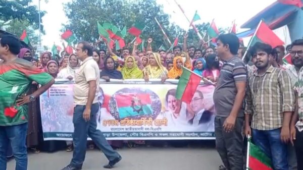 বিএপির প্রতিষ্ঠাবাষিকী উপলক্ষে বাগাতিপাড়া বিএনপির আনন্দ র‌্যালী