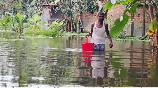 রাণীনগরে কালভার্ট বন্ধ করে মিল-খামার নির্মাণ ॥ পানিবন্দি প্রায় শতাধিক পরিবার!