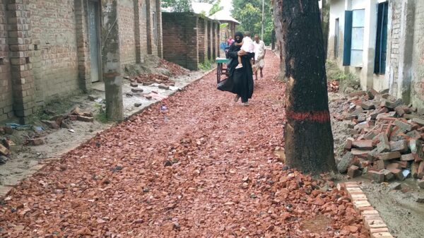 আত্রাইয়ের বান্দাইখাড়া-দূর্গাতলী ‎সড়কে গাছ রেখেই চলছে রাস্তা পাকাকরণ কাজ