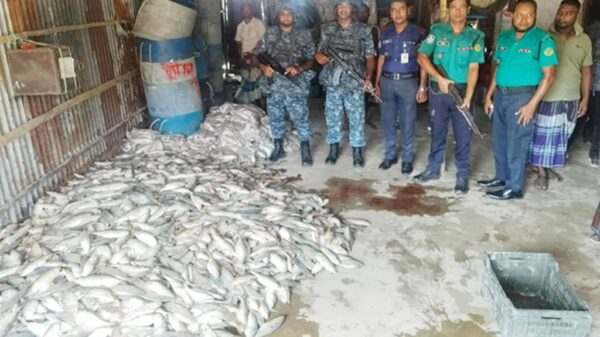 ফিশিংবোট থেকে ২৫০০ কেজি মা ইলিশ জব্দ