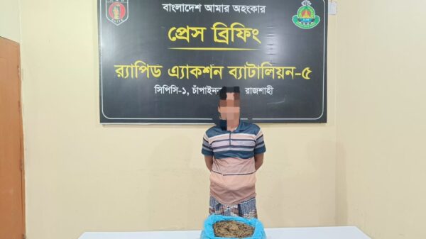 গাঁজা মামলার আসামি আবারও গাঁজাসহ র‌্যাবের হাতে গ্রেফতার