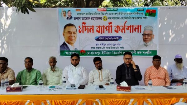 শিবগঞ্জে বিএনপির ৩১ দফা বাস্তবায়ন ও নির্বাচনী প্রস্তুতিমুলক কর্মশালা