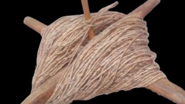 হারিয়ে যাওয়ার পথে গ্রামের কৃষকের ঢ্যারা-নতুন প্রজন্মের কাছে স্মৃতি