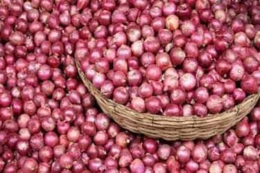 চাঁপাইনবাবগঞ্জে পেঁয়াজের বাজারে আগুন-এক দিনের ব্যবধানে ২০-৩০ টাকা বৃদ্ধি