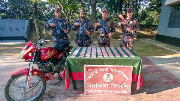 চাঁপাইনবাবগঞ্জ সীমান্তে ৫৩ বিজিবি’র অভিযান-বিপুল পরিমাণ নেশা জাতীয় ট্যাবলেট জব্দ