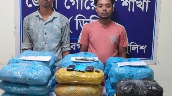 চাঁপাইনবাবগঞ্জে ডিবি’র অভিযানে ৩৫ কেজি গাঁজাসহ ২ ব্যবসায়ী গ্রেফতার