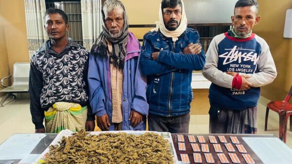 নওগাঁয় সেনাবাহিনীর অভিযানে গাঁজা ও ট্যাপেন্টাডল ট্যাবলেট সহ ৪ জন আটক