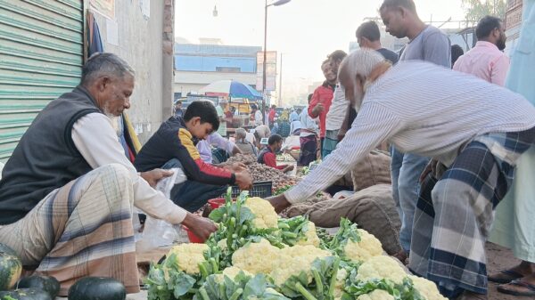 সিংড়ার হাট বাজারে চড়া দামেই কিনতে হচ্ছে শীতকালীন সবজি