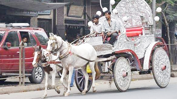 চাঁপাইনবাবগঞ্জে ঘোরা-ইতিহাসের শেষ প্রান্তে দাঁড়ানো গ্রামীণ বাহন