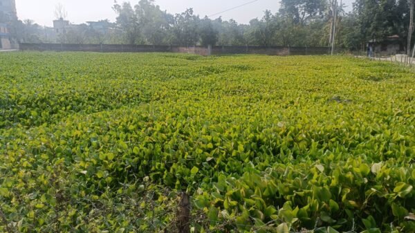 নওগাঁর পত্নীতলায় ৪০বছর ধরে ভোগ দখল করে আসা অর্পিত সম্পত্তির মালিকানা দাবী