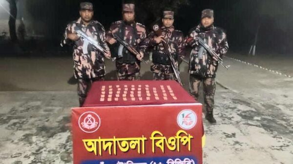 আদাতলা সীমান্তে বিপুল পরিমাণ ভারতীয় ট্যাপেন্টাডল ট্যাবলেট উদ্ধার