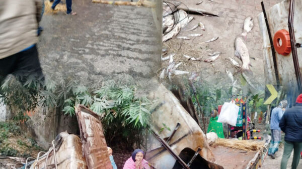 চুয়াডাঙ্গায় ট্রাক-আলমসাধু মুখোমুখি সংঘর্ষে নিহত ১ আহত ১