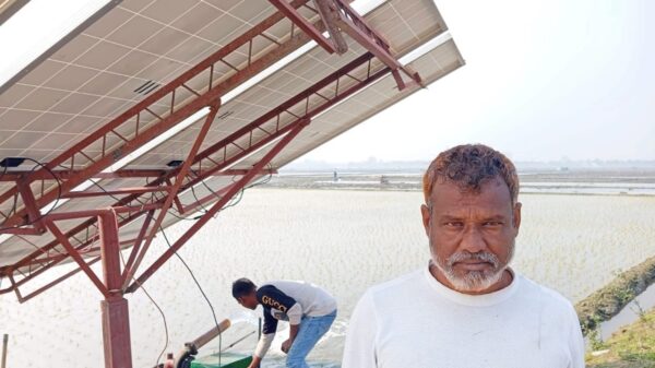 নাটোরের হালতি বিলে সোলার পাম্প দ্বারা সেচ পদ্ধতি চালু করলো এক কৃষক