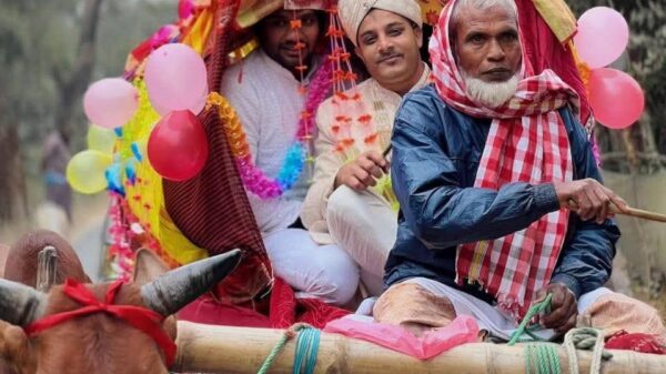 চাকার শব্দে যে আনন্দ-চাঁপাইনবাবগঞ্জে হারিয়ে গেছে গরুর গাড়ির বিয়ের শোভাযাত্রা