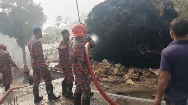 নাচোলের নেজামপুরে মুহুর্তেই খড়ের পালা ভষ্মিভূত
