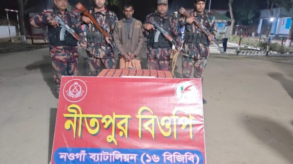 নিতপুর সীমান্তে বিপুল পরিমাণ ভারতীয় ট্যাপেন্টাডল ট্যাবলেটসহ আটক ১