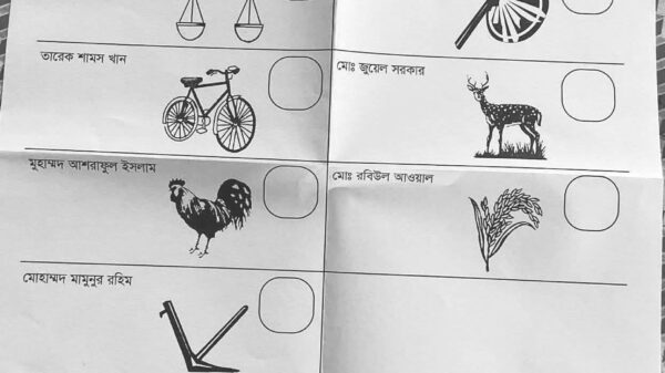 টাঙ্গাইলে ভোটের মাঠ চষে বেড়াচ্ছেন বিএনপি-জামায়াতসহ অন্য প্রার্থীরা