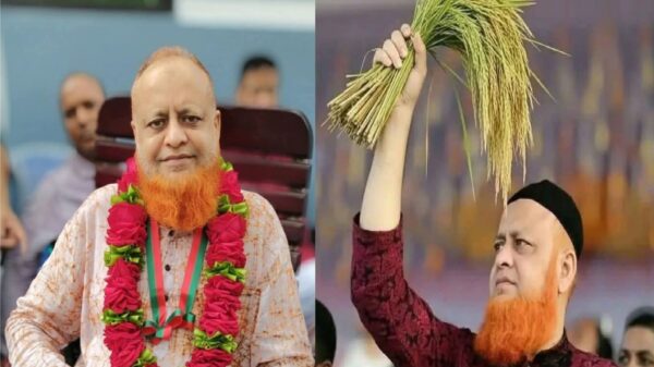 টাঙ্গাইল-৬ আসনে ধানের শীষের জয় ॥ বড় ব্যবধানে নির্বাচিত লাভলু