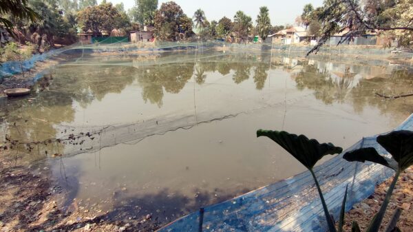 নওগাঁয়মিথ্যে মামলার ফাঁদে দীর্ঘদিন রাণীনগরের শতাধিক সরকারি পুকুর