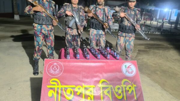 পোরশার নিতপুর সীমান্তে ভারতীয় ফেনসিডিল উদ্ধার
