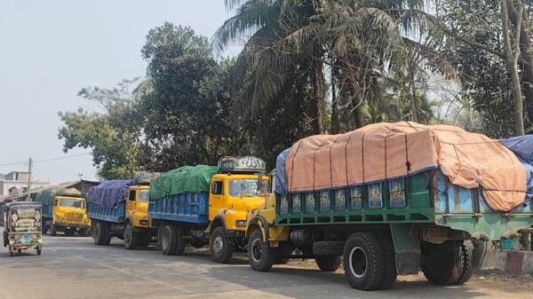 সার পাচারের চেষ্টা ॥১,৪২০ বস্তা টিএসপিসহ ৪ ট্রাক জব্দ
