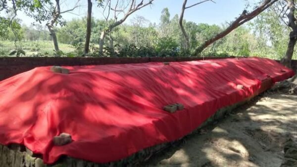 রাণীশংকৈলে ৭০ হাত লম্বা রহস্যময় কবর ॥ এলাকাবাসীর মাঝে কৌতুহল